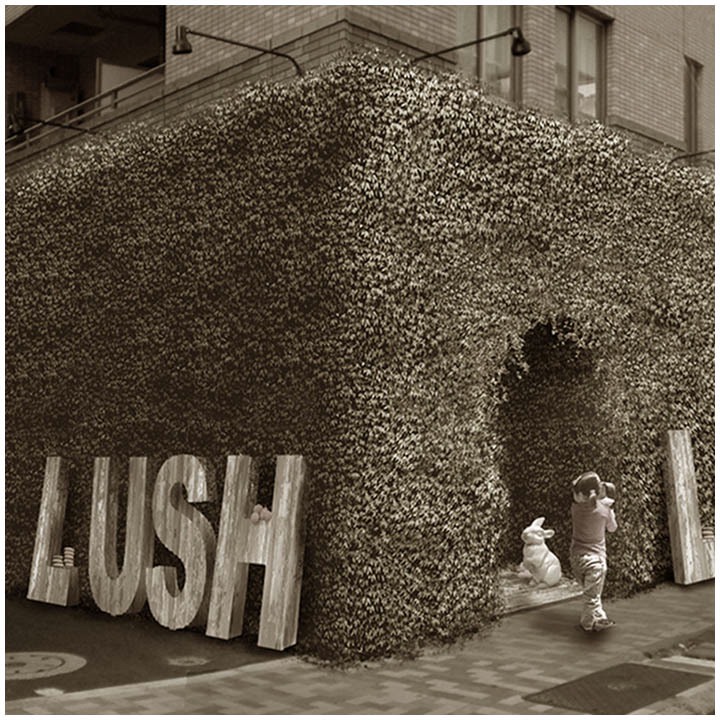 LUSH / nf.Design co.,ltd. | Nakahara・Fukushima